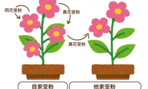 1岁宝宝出汗和虚汗的区别-1岁宝宝出汗和虚汗网 - 头发湿,一岁宝宝出虚汗怎么调理要吃什么